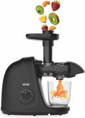 DistinQ Slow Juicer